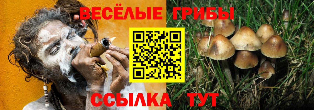 Гудермес  Псилоцибиновые грибы мухоморы  Вход с VPN 