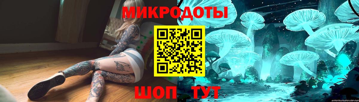 Галлюциногенные грибы Psilocybe Гудермес