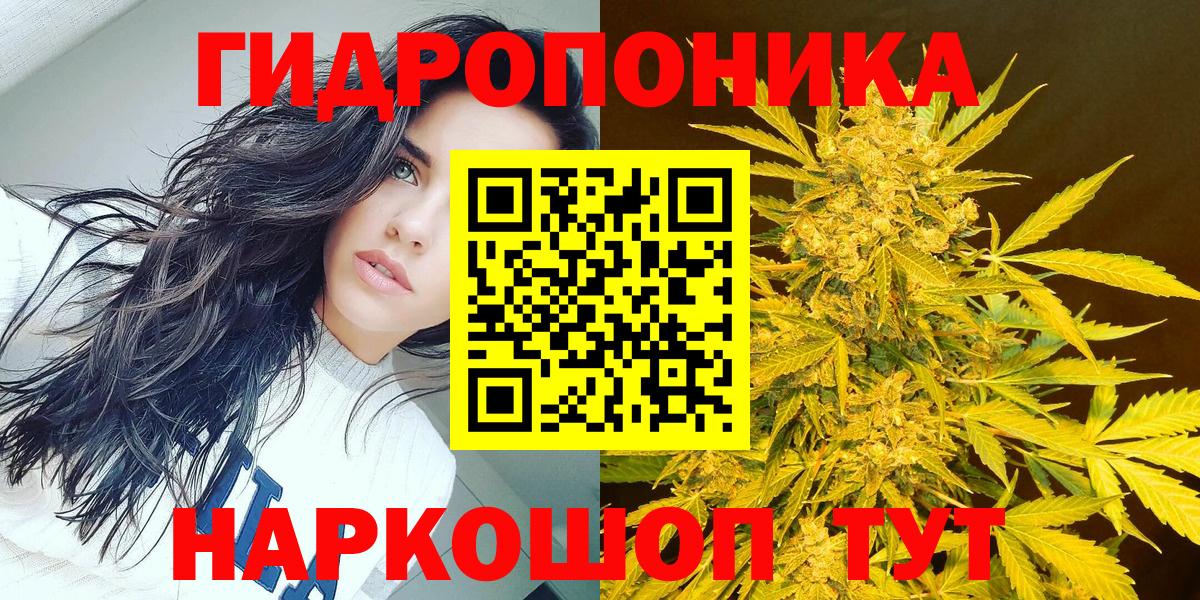 Каннабис VHQ Гудермес